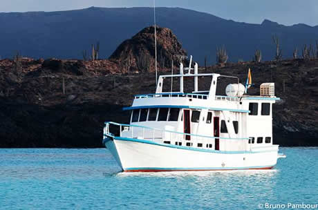 Descripci&oacute;n: C:\Users\Marine Adventure\Desktop\Flamingo001\editadas\foto portada principa.jpg