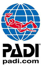 Padi